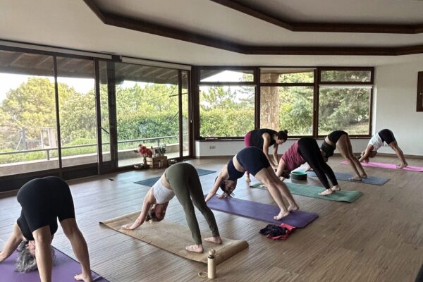 IMG_3086 2 IMG_3086 2